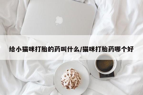 打胎药叫什么名字怎么购买给小猫咪打胎的药叫什么/猫咪打胎药哪个好