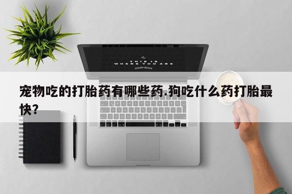 打胎药叫什么名字怎么购买宠物吃的打胎药有哪些药.狗吃什么药打胎最快？