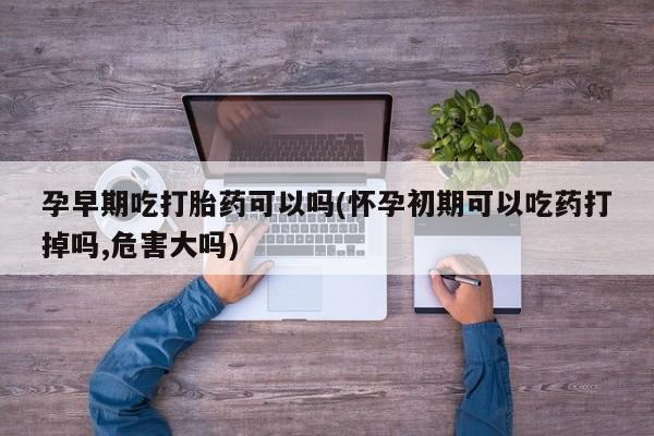 打胎药叫什么名字怎么购买孕早期吃打胎药可以吗(怀孕初期可以吃药打掉吗,危害大吗)