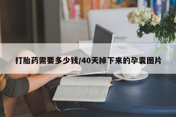 打胎药叫什么名字怎么购买打胎药需要多少钱/40天掉下来的孕囊图片